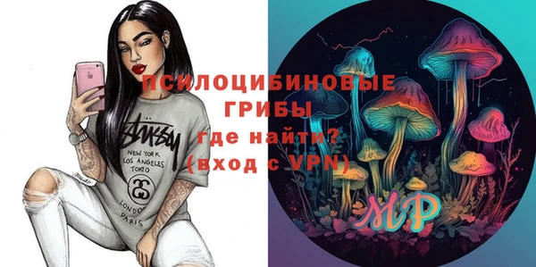 PSILOCYBIN Сафоново