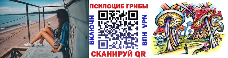 Купить где Курск Галлюциногенные грибы Psilocybine cubensis